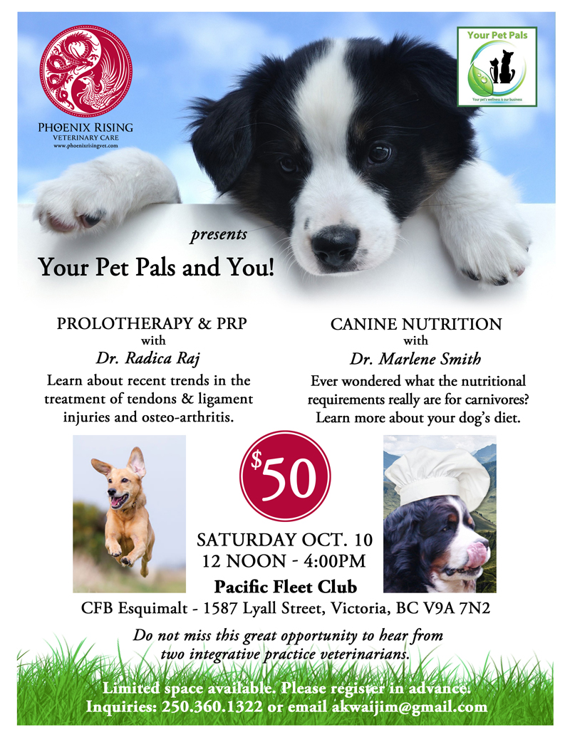 Phoenix Rising Veterinary Care, Your Pet Pals