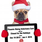 Phoenix Rising Veterinary Care, Regenerative Medicine, holiday hours