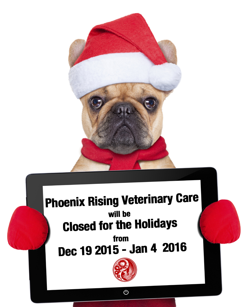 Phoenix Rising Veterinary Care, Regenerative Medicine, holiday hours