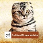 Traditional Chinese Medicine