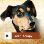 Laser Therapy