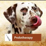 Prolotherapy