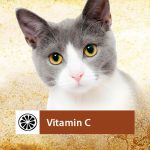 Vitamin C