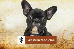 Western Medicine