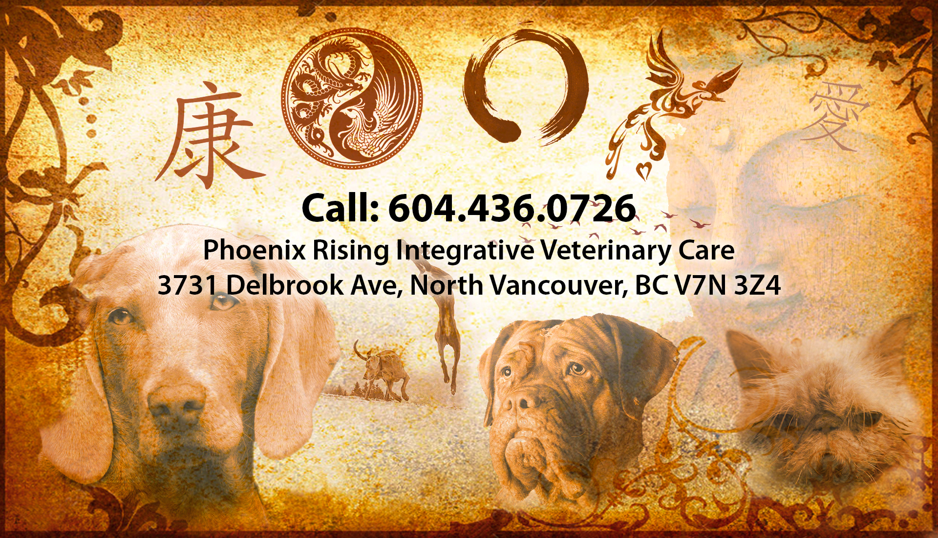 Phoenix-Rising-Vet-Care
