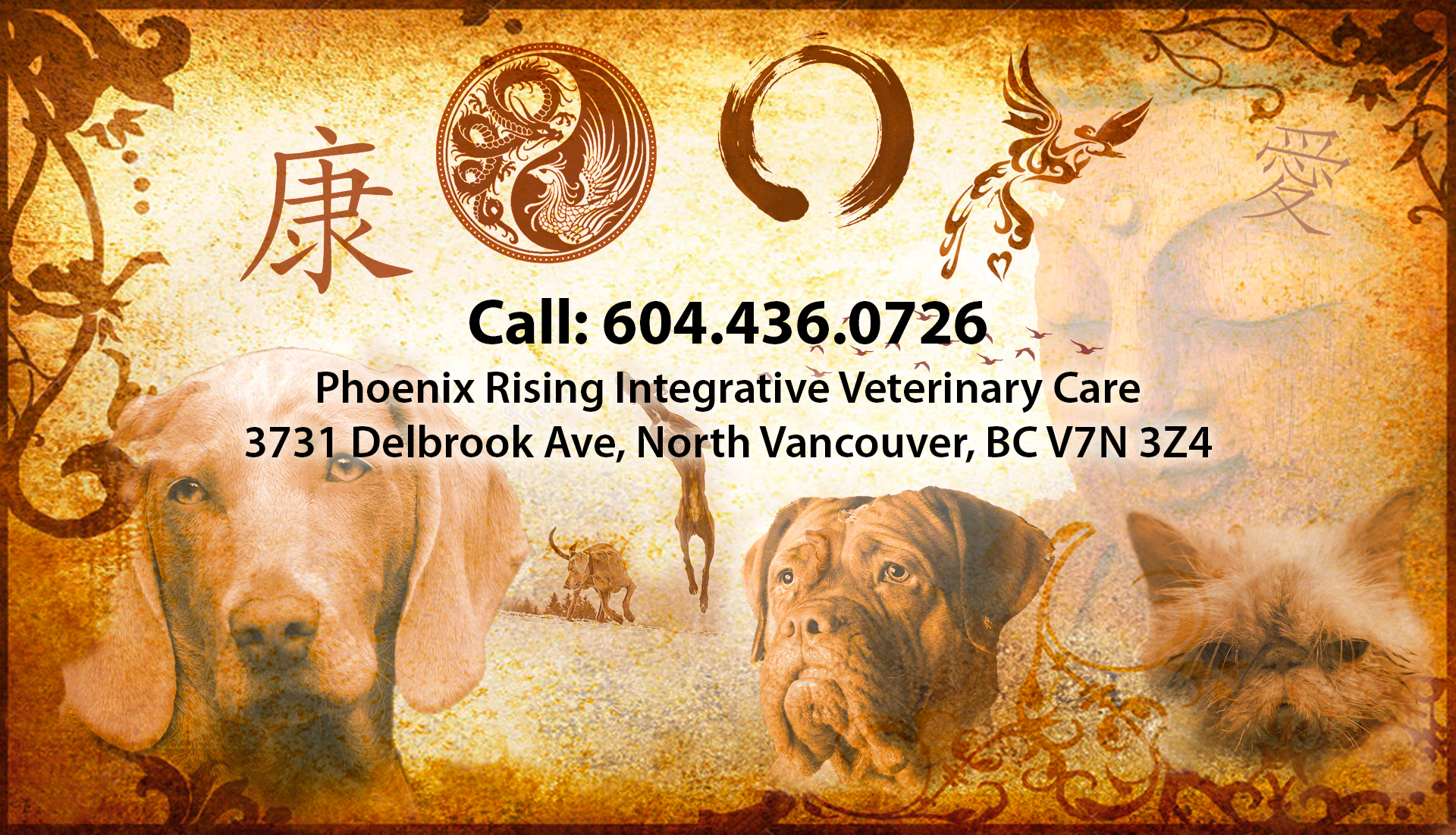 Angel Care Natural Healing and Acupuncture for Pets