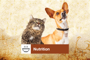 pet-nutrition, Phoenix Rising Vet Care