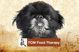 tcm-food-therapy-banner, phoenix Rising Vet Care