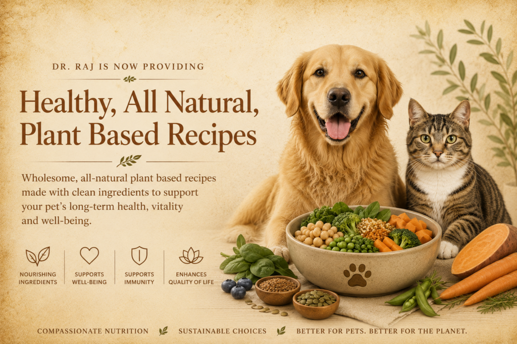 Phoenix Rising Vet, Plant-Based Nutrition Recipes